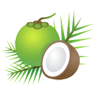BIO kokosové produkty | Kulau.sk